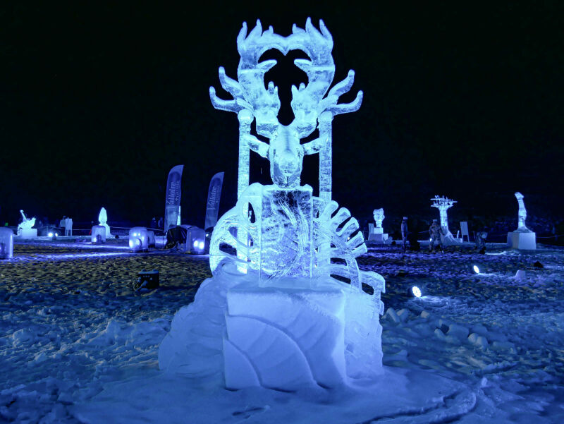 Le concours de sculptures sur glace complètement givré ! Le concours de sculptures sur glace complètement givré !