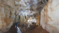 Grotte Chauvet, CITÉ DES SCIENCES ET DE L’INDUSTRIE