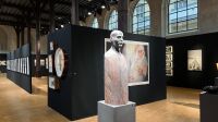 Salon des Beaux Arts 2024 - Sections Naturaliste, Papier-Papiers, Photographie, Sculpture (7)