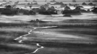 Exposition Genesis Platinum à la Galerie Polka - Sebastiao Salgado, Kafue National Park, 2010