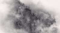 Huangshan Mountains, Study 1, Anhui, China. 2008