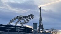 Tyrannosaurus Rex, Philippe Pasqua, 2013 - Vue de l'oeuvre (9)