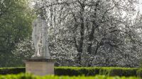 Statue ? L'hercule Farnese ? de Giovanni Comino 1670-1672 Domaine departemental de Sceaux