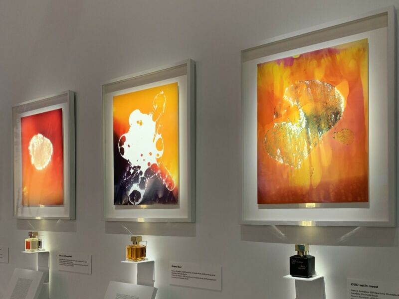 Attention ! Derniers jours pour découvrir le parfum comme jamais ! Attention ! Derniers jours pour découvrir le parfum comme jamais !