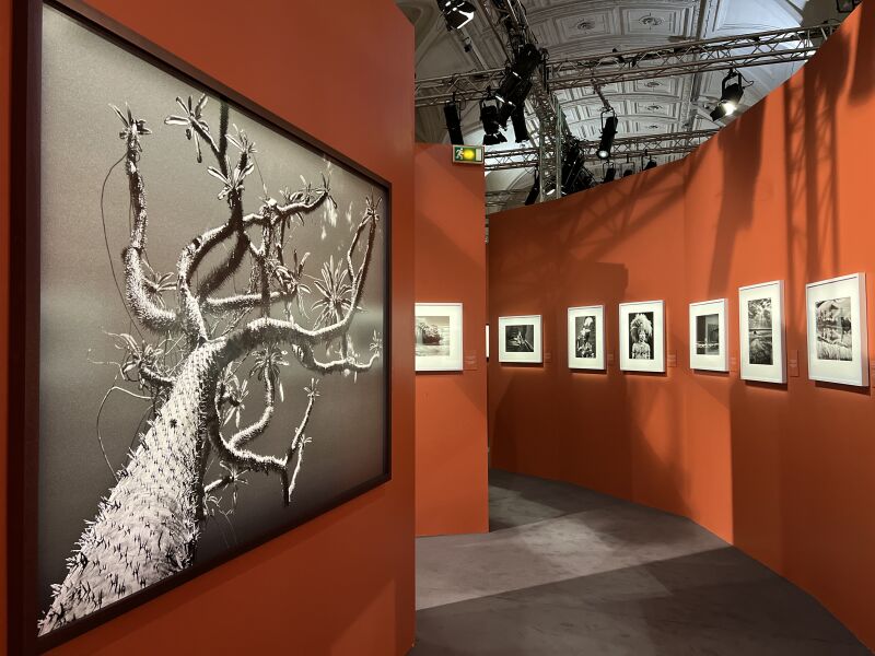 Exposition hommage à Sebastião Salgado à l'Hôtel de Ville de Paris Exposition hommage à Sebastião Salgado à l'Hôtel de Ville de Paris