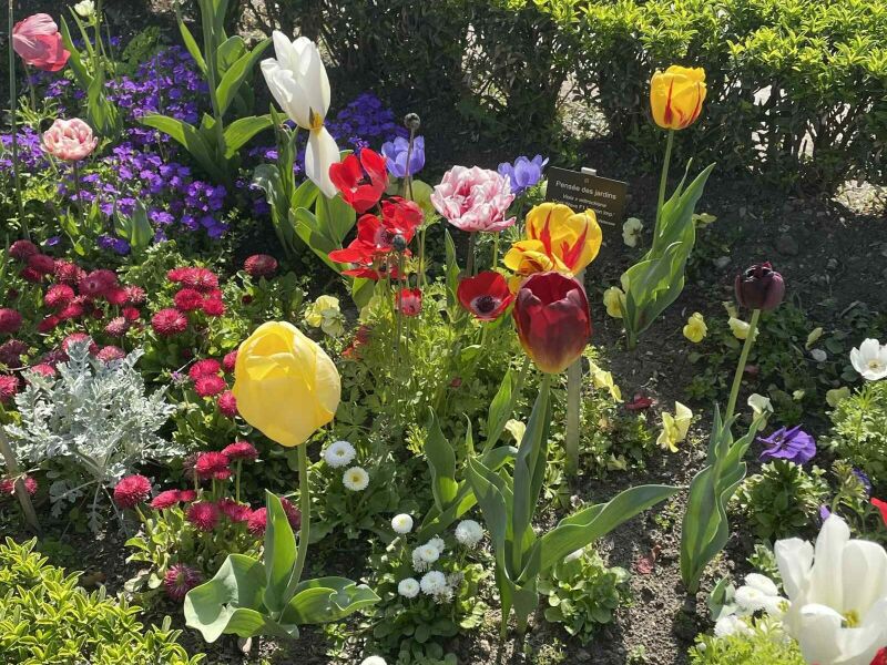 Le jardin des plantes se pare de mille... fleurs ! Le jardin des plantes se pare de mille... fleurs !