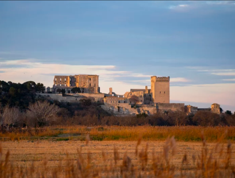 La Méditerranée immortalisée à l'abbaye de Montmajour La Méditerranée immortalisée à l'abbaye de Montmajour